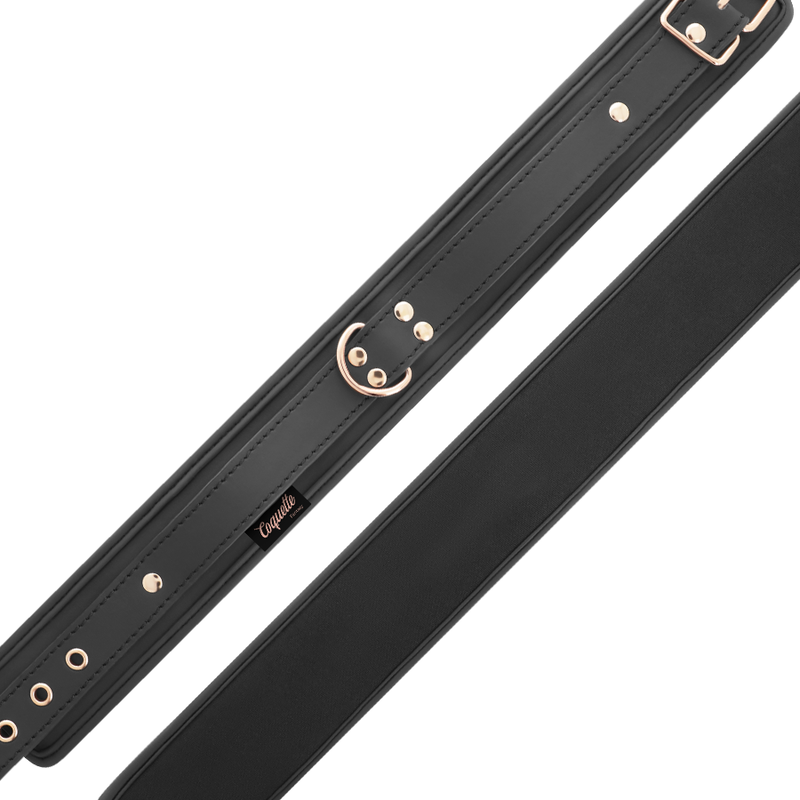 COQUETTE CHIC DESIRE - FANTASY VEGAN LEDEREN HALSBAND MET BAND EN NEOPREEN VOERING