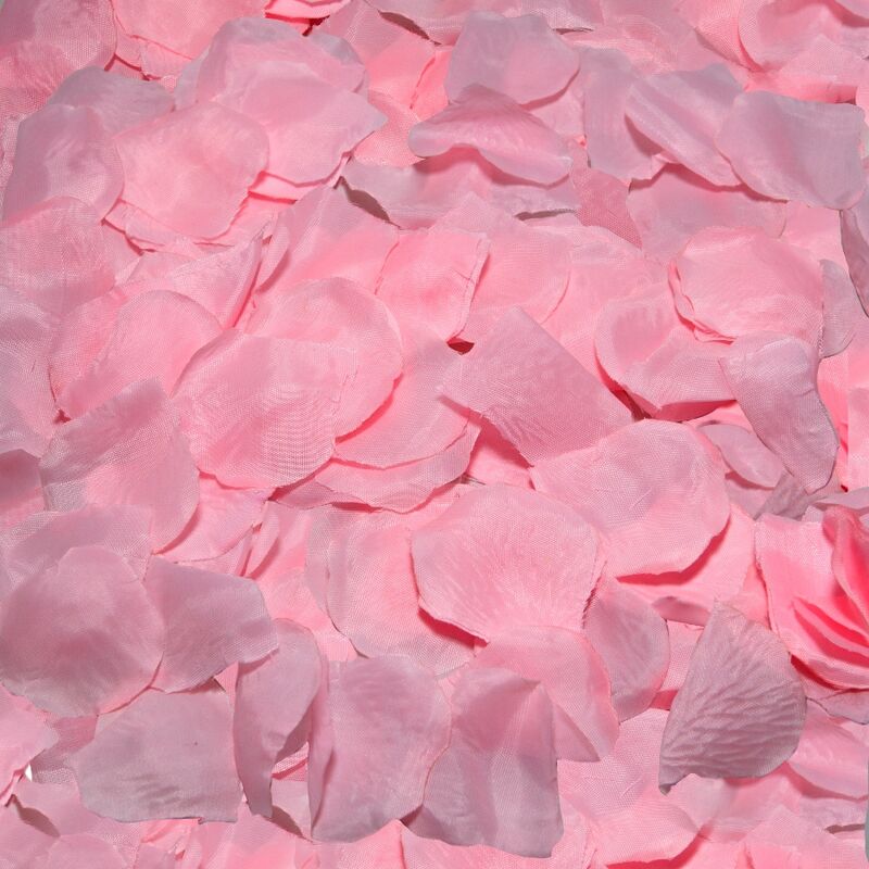 Spicy Devil - 100 roze bloemblaadjes