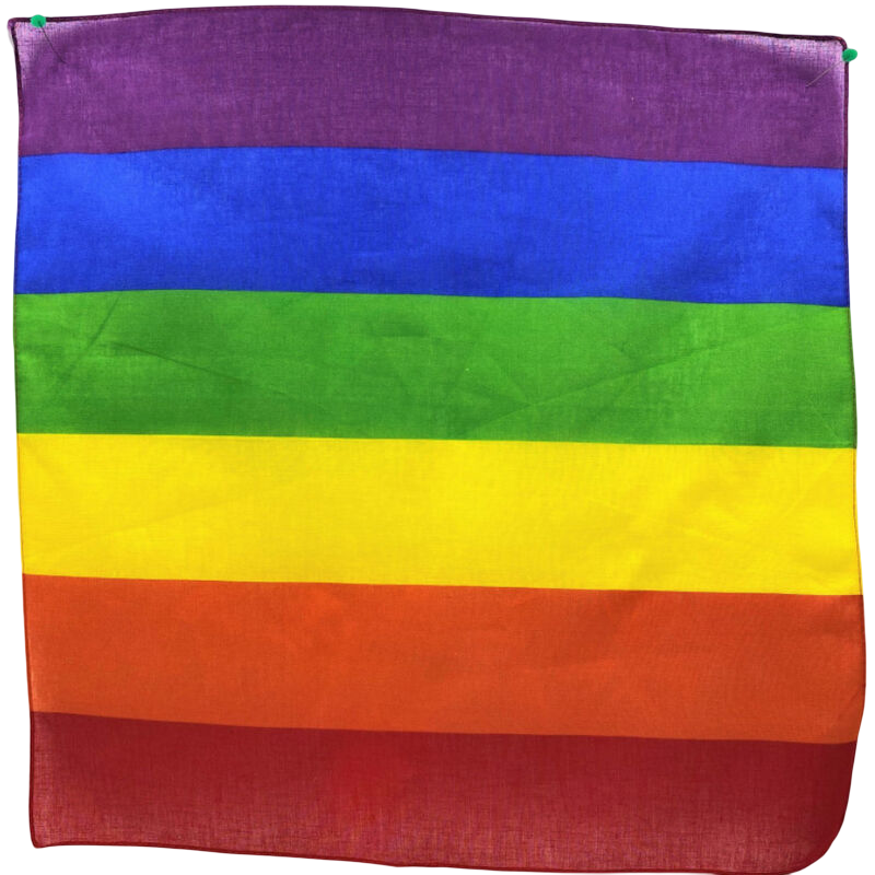 PRIDE - LGBT SJAAL 50 X 50