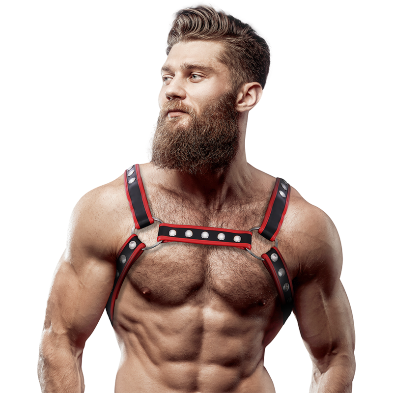 FETISH ONDERDANIGE ATTITUDE - BULLDOG HARNESS ECO-LEER BORST MANNEN ZWART/ROOD