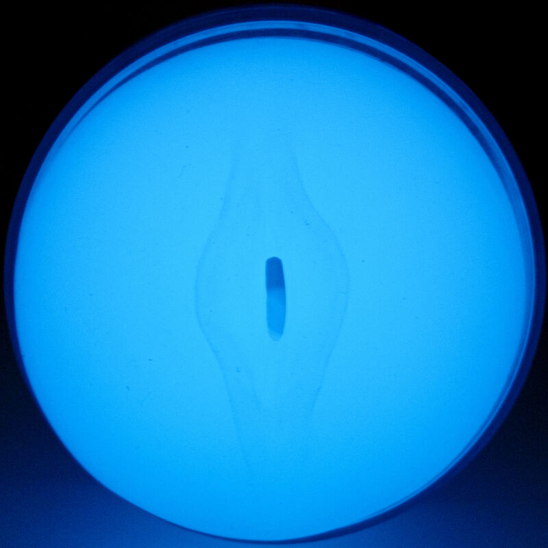 KIIROO - VOEL EEN GLOW IN THE DARK STROKER