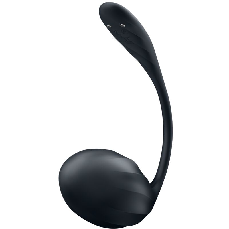 SATISFYER - GERIBDE BLOEMPOT G-SPOT STIMULATOR AFSTANDSBEDIENING ZWART GRATIS APP