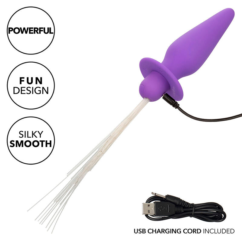 CALEXOTICS - SOUTHERN LIGHTS VERLICHTENDE ANALE PLUG MET LICHTEN, 10 VIBRATIES, PAARSE SILICONEN