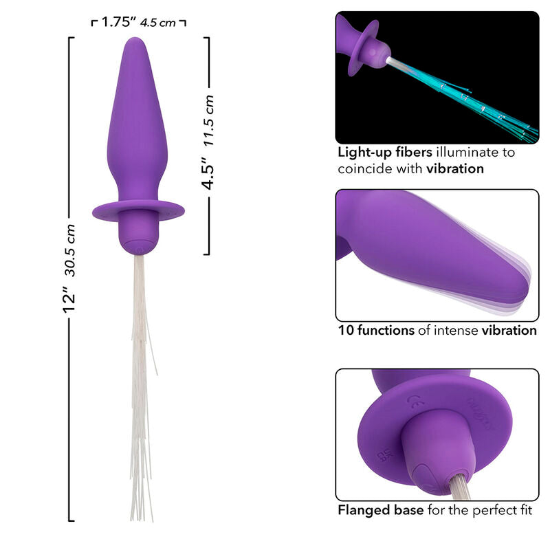 CALEXOTICS - SOUTHERN LIGHTS VERLICHTENDE ANALE PLUG MET LICHTEN, 10 VIBRATIES, PAARSE SILICONEN