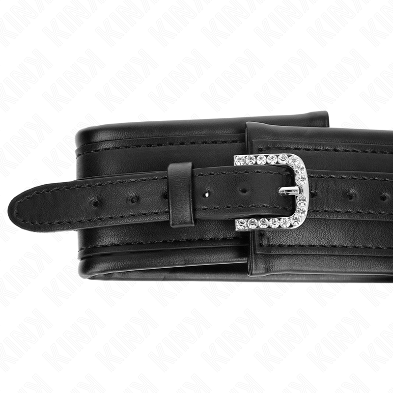 KINK - KRAAG MET 65 CM BAND, GLANZENDE GESP 48,5 CM X 5,3 CM