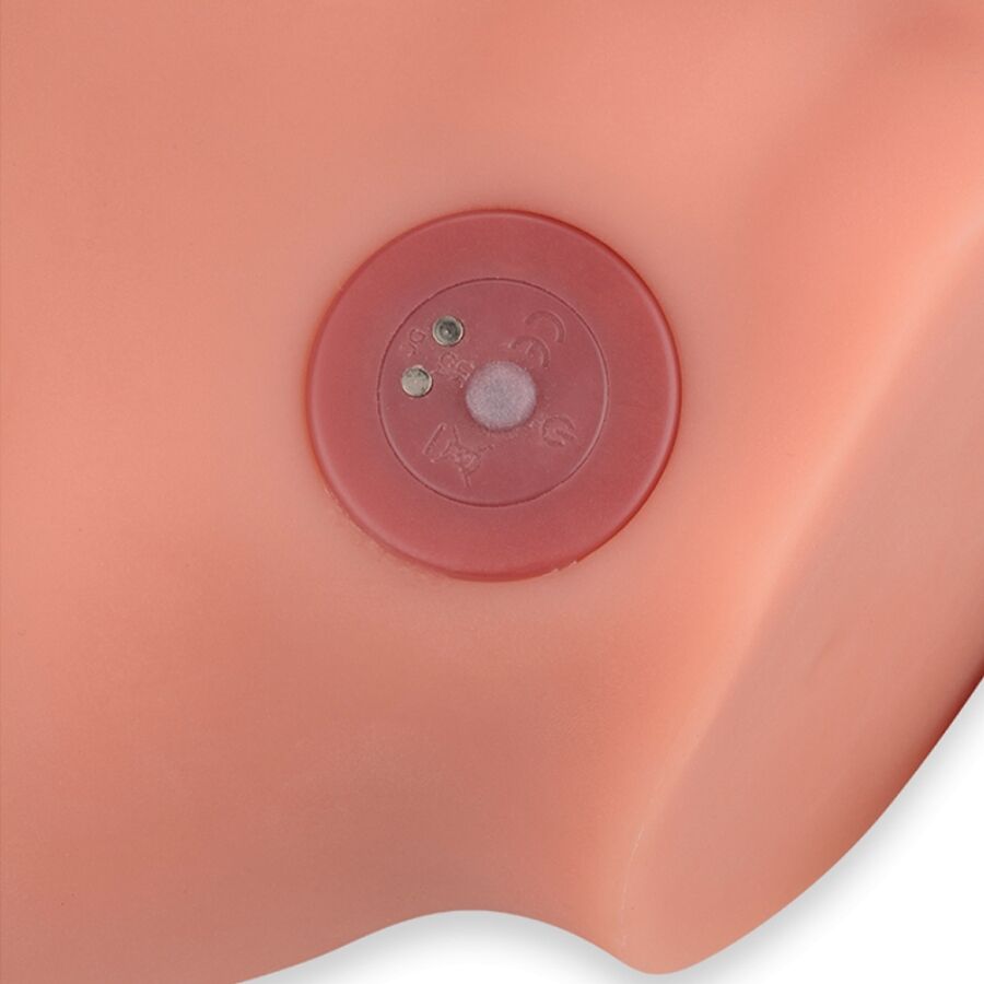 XISE - FREDERICO REALISTISCHE DILDO MASTURBADOR VOORAANSTAND MET STOOT 15 CM