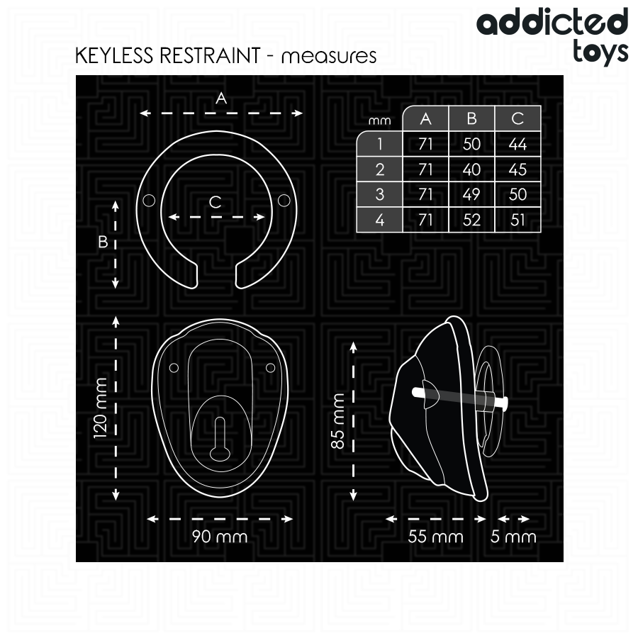 ADDICTED TOYS LOCKED - SLEUTELLOZE BEVESTIGINGSPENISKOOI 11,5 CM