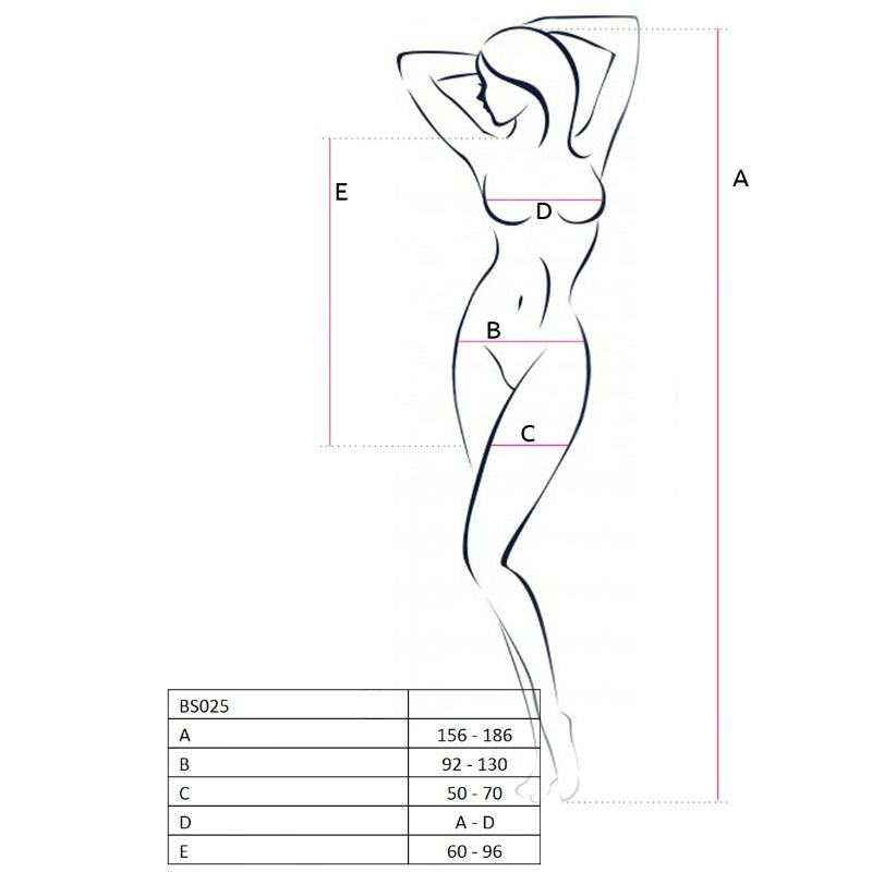 PASSIE - VROUW BS025 BODYSTOCKING STIJL ZWARTE JURK ONE SIZE