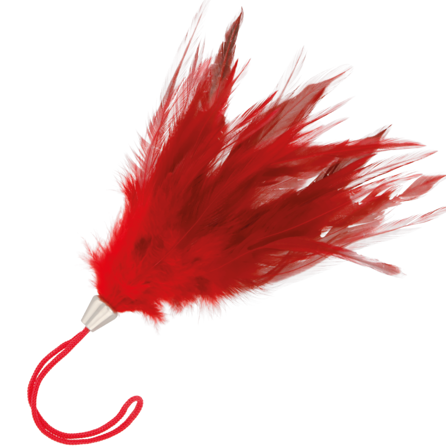 DARKNESS - STIMULERENDE PEN ROOD 17CM
