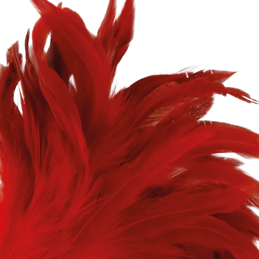 DARKNESS - STIMULERENDE PEN ROOD 24CM