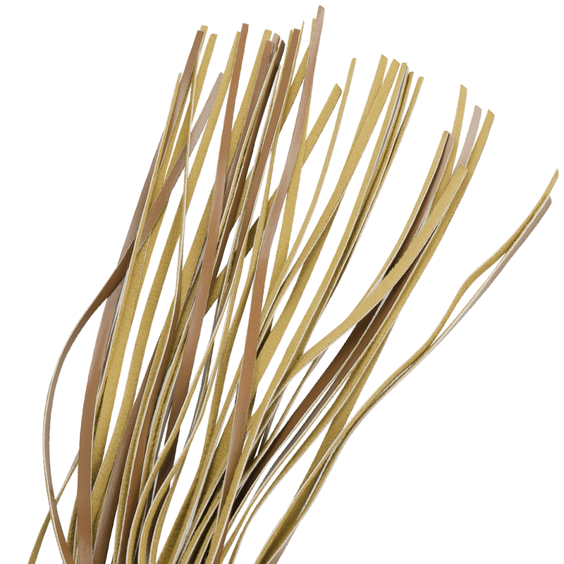 FETISH ONDERWORPEN – vegan leren zweep